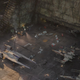 Illustration for article titled Just In Case You Missed Them, You Can Now See All the Star Wars: Rebels Easter Eggs in Rogue One